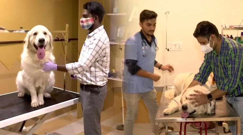 BestBuds Pet Hospital