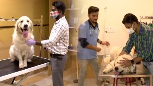 BestBuds Pet Hospital
