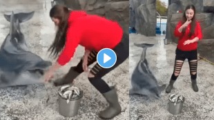 Dolphin_Dance