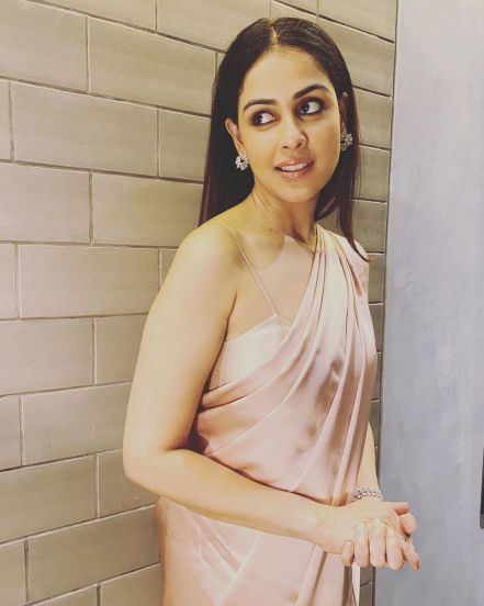 Genelia Deshmukh Saree Look Photos