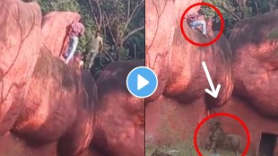 Man tries to enter lions enclosure