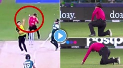 T20 WC PAK vs AUS : बाप रे बाप..! पाकिस्तानच्या फलंदाजाचा जोरदार फटका अन् अंपायर कोसळला जमिनीवर; पाहा VIDEO