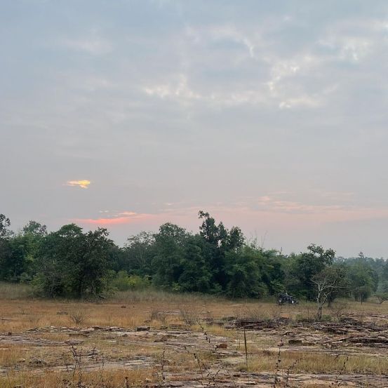 Soha Ali Khan Kunal Kemmu Inaaya Naumi Kemmu Tadoba National Park Photos