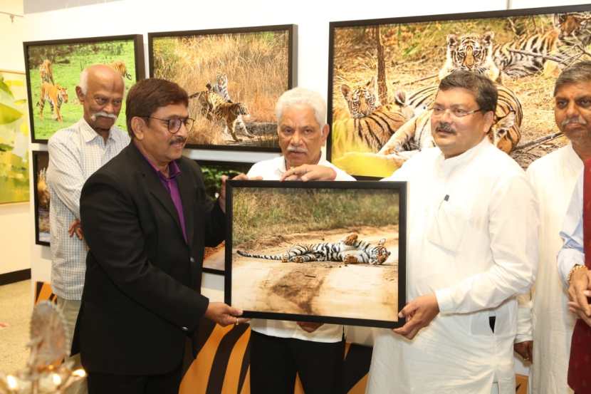 Tiger Wildlife Photography Hemant Sawant