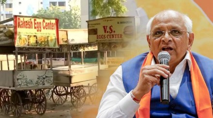 गुजरातमध्ये मांसाहारी स्टॉल हटवण्याच्या निर्णयामुळे विक्रेते अडचणीत; मुख्यमंत्री पटेल स्पष्टीकरण देत म्हणाले, “भाजपा सरकार…”