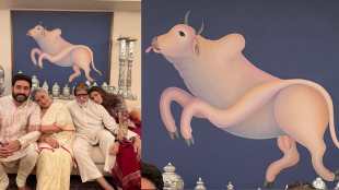 amitabh bachchan, abhishek bachhan, bull image,
