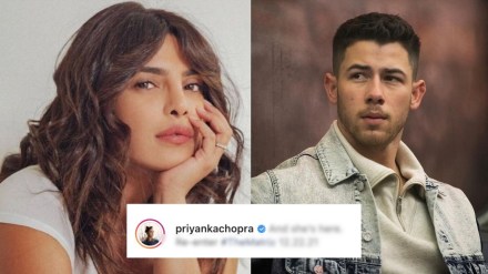 priyanka chopra, nick jonas, The Matrix Resurrections,