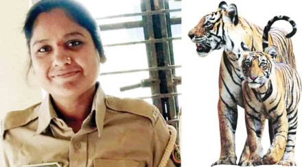 व्याघ्र गणनेतील त्रुटी उघड ; वाघाच्या हल्ल्यात महिला वनरक्षकाच्या मृत्युमुळे सुरक्षेचा मुद्दा चर्चेत
