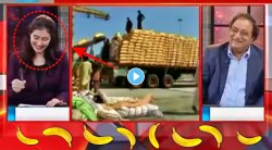 VIDEO : “मुंबईची केळी खूप मोठी मोठी…”, एक्सपर्टचं बोलणं ऐकून LIVE शोमध्ये हसू लागली पाकिस्तानी अँकर; म्हणाली, “तुम्ही तुमचं…”