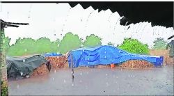 पालघर जिल्ह्य़ात अनेक ठिकाणी पाऊस