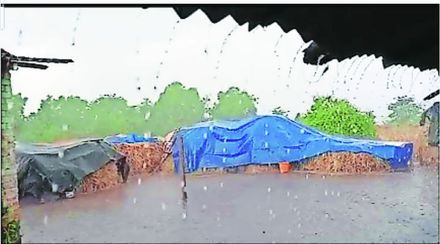मुंबईत पावसाचा बाराही महिने मुक्काम