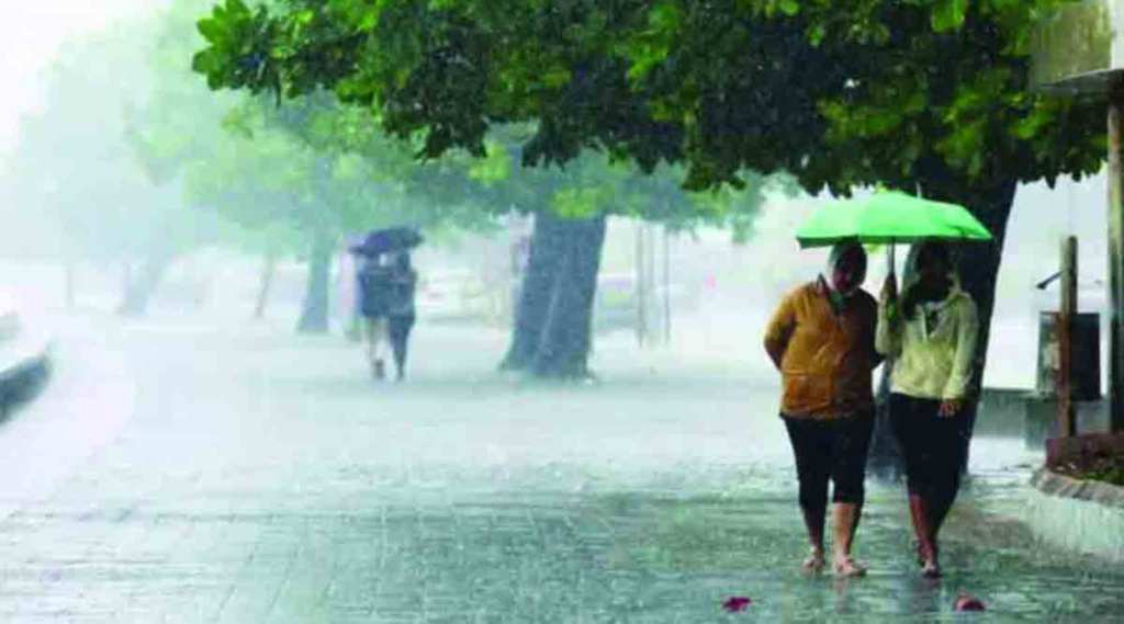 अल्प कालावधीत जास्त पाऊस; माती वाहून जाण्याच्या प्रमाणात १५ टक्के वाढ 