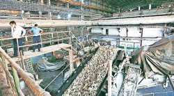 इथेनॉल खरेदीदरात वाढ : साखर उद्योग असमाधानीच