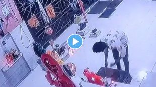 thane-theft-viral-video