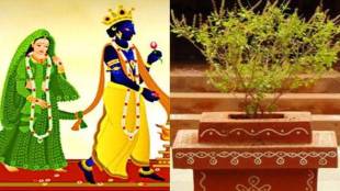 tulsi-vivah-2021