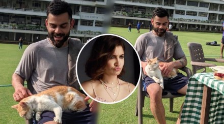 IND vs NZ: विराट कोहलीचा सरावादरम्यान मांजरीसोबत टाईमपास, अनुष्का शर्माच्या कमेंटवर म्हणाला…