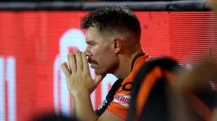 warner ipl 2021