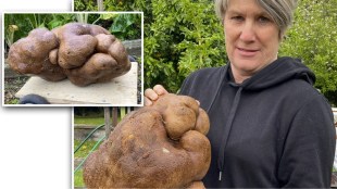 worlds largest potato