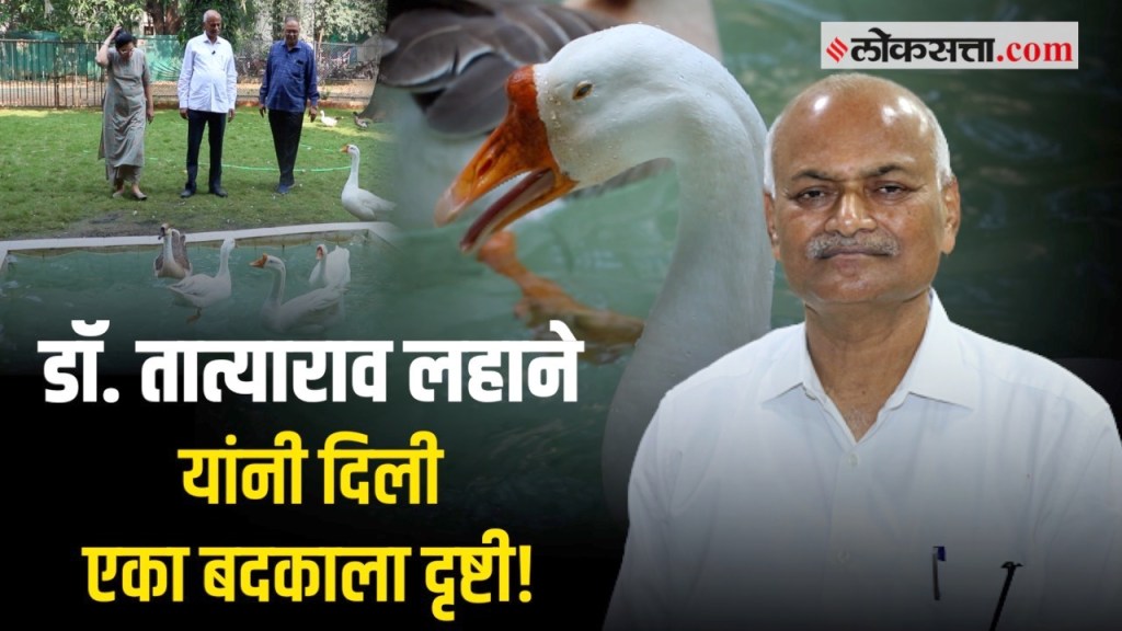 VIDEO: नेत्र शल्यचिकित्सक डॉ. लहाने यांनी अंध बदकालाही दृष्टी दिली, व्हिडीओ पाहा… VIDEO: नेत्र शल्यचिकित्सक डॉ. लहाने यांनी अंध बदकालाही दृष्टी दिली, व्हिडीओ पाहा…
