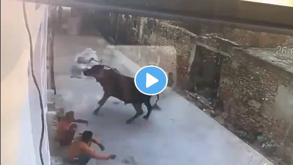 Old-Man-Beaten-Bull-Viral-Video Old-Man-Beaten-Bull-Viral-Video
