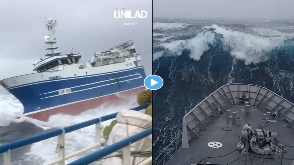 Weird Facts About Sea Weird Facts About Sea