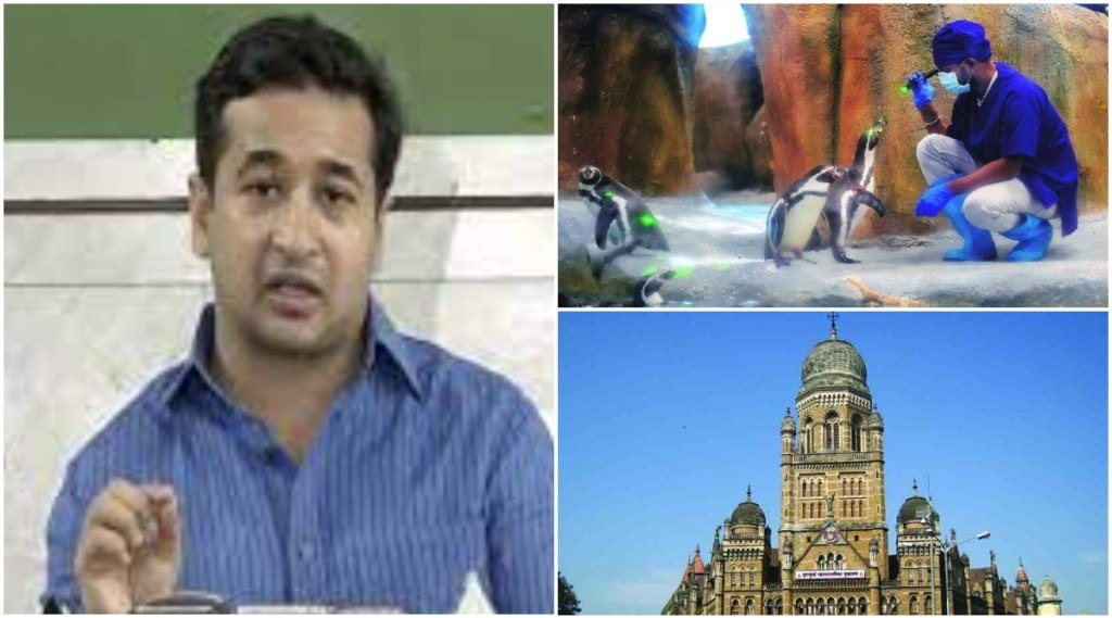 (संग्रहित प्रातिनिधिक छायाचित्र)