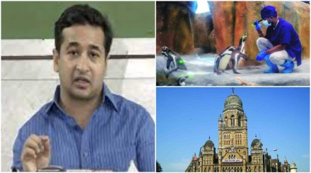 (संग्रहित प्रातिनिधिक छायाचित्र)
