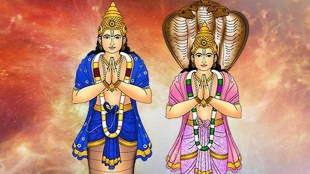 Rahu-Ketu-Transit