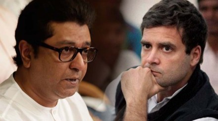 Raj Thackeray reaction to Rahul Gandhi statement