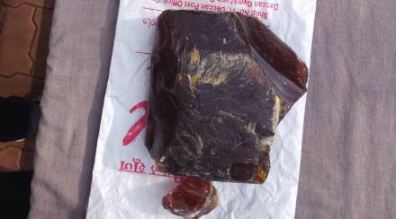 Explained Vomit of whale fish ambergris floating gold valuable sold in crores