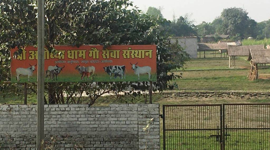 Relatives of MLAs SDM DIG and officials bought plots in Ayodhya