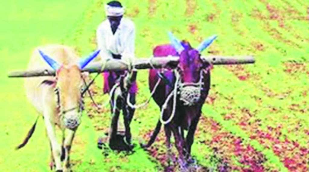 आता हवा आहे विश्वासाचा पेरा… आता हवा आहे विश्वासाचा पेरा…