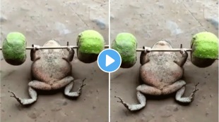 frogs workout video