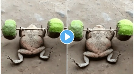 frogs workout video