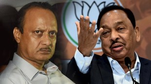 narayan rane on ajit pawar