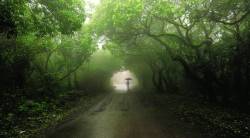 जैववैविध्याचे ‘रान मोकळे’