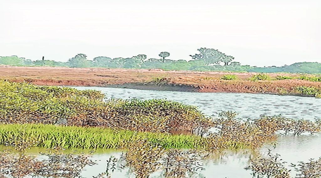 वाढीव खारभूमी बंधारा निधीच्या प्रतीक्षेत