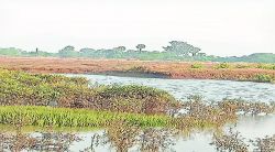 वाढीव खारभूमी बंधारा निधीच्या प्रतीक्षेत