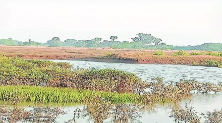 वाढीव खारभूमी बंधारा निधीच्या प्रतीक्षेत