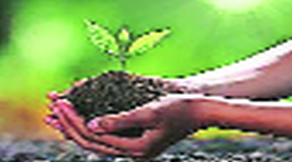 जमिनीचे क्षारीकरण थांबवून उत्पादनक्षमता वाढवावी