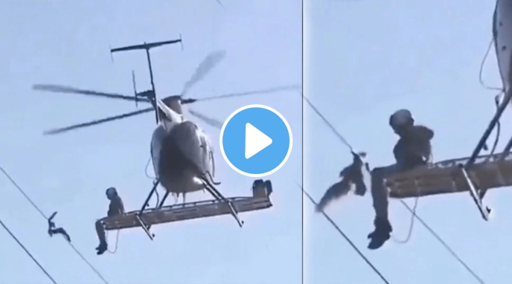 rescue bird trapped on power line