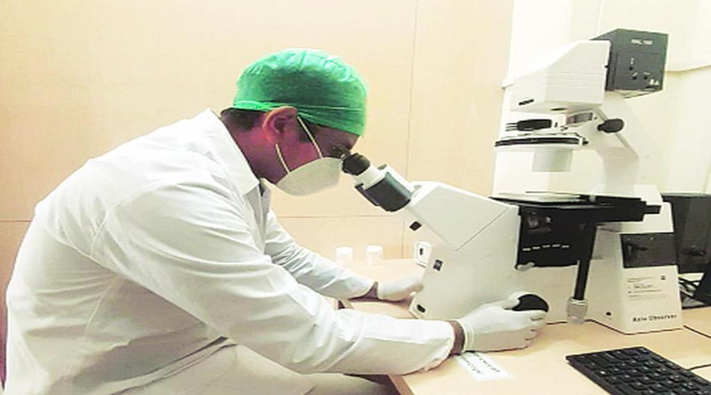 कर्करोगाच्या जलद आणि अचूक निदानासाठी नॅनोरोबोटचे संशोधन कर्करोगाच्या जलद आणि अचूक निदानासाठी नॅनोरोबोटचे संशोधन