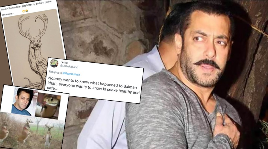 salman khan, salman khan birthday, salman khan bitten by snake, salman khan memes, salman khan tweet, सलमान खान, सलमान खान मीम्स, सलमान खान वाढदिवस, सलमान खान वय, सलमान खान ट्वीट