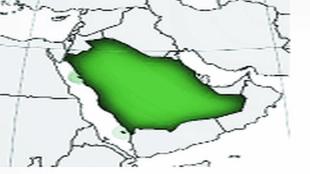 Article on saudi Arabia