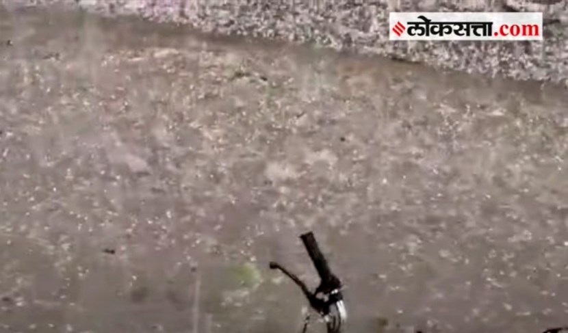 या गारपिटीसह पडलेल्या पावसाने तूर व कांदा या दोन पिकांचे मोठे नुकसान होण्याची शक्यता आहे. उशिराच्या कापूस विक्रीवरही या पावसाचा मोठा परिणाम होईल असा कृषी विभागाचा अंदाज आहे. दरम्यान किती गावात गारपीट झाली व त्याची गंभीरता किती याची माहिती महसूल विभागाकडून गोळा केली जात आहे.