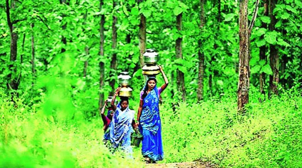 पेसा; प्रश्न प्रभावी अंमलबजावणीचा पेसा; प्रश्न प्रभावी अंमलबजावणीचा