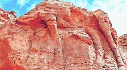सौदी अरेबियात आढळणारी उंटाच्या प्रत्यक्ष आकाराची अश्मयुगीन शिल्पे
