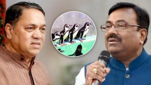 sudhir mungantiwar on penguin maharashtra assembly