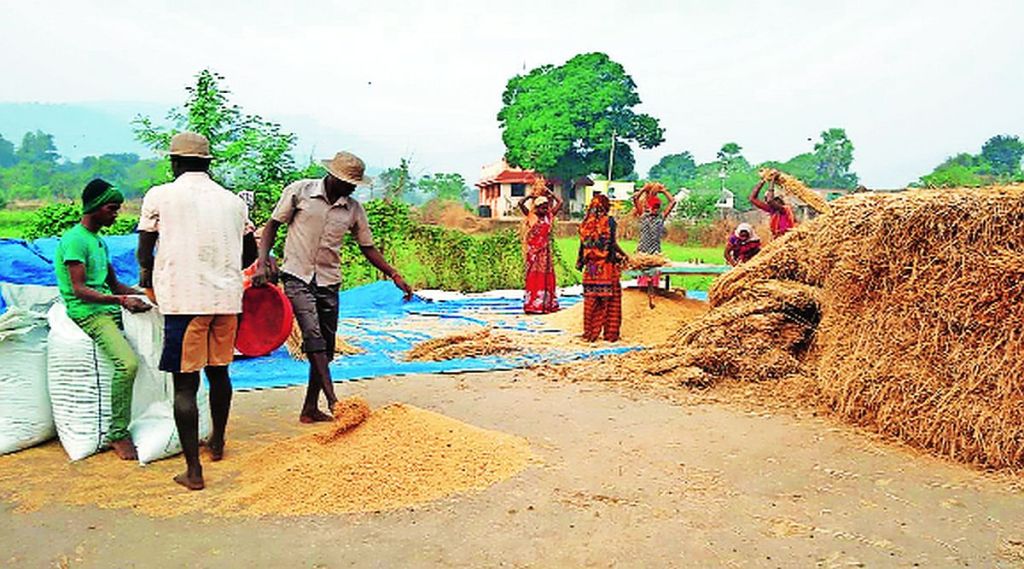 भात खरेदीसाठी मुदतवाढ मिळण्यासाठी प्रयत्न