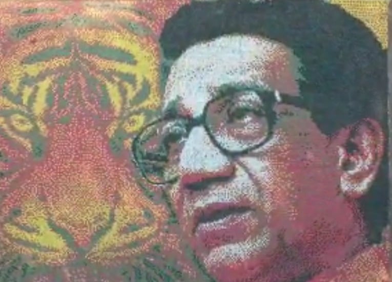 या पोर्टेटचे आकारमान ४० फूट लांब व ३० फूट रुंद आहे.